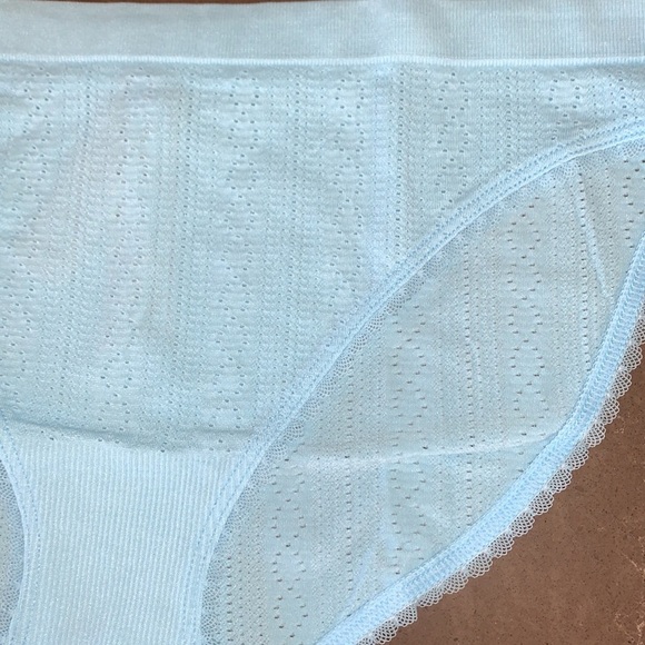 NWT VS Seamless Pointelle Bikini Panty M - Picture 4 of 6